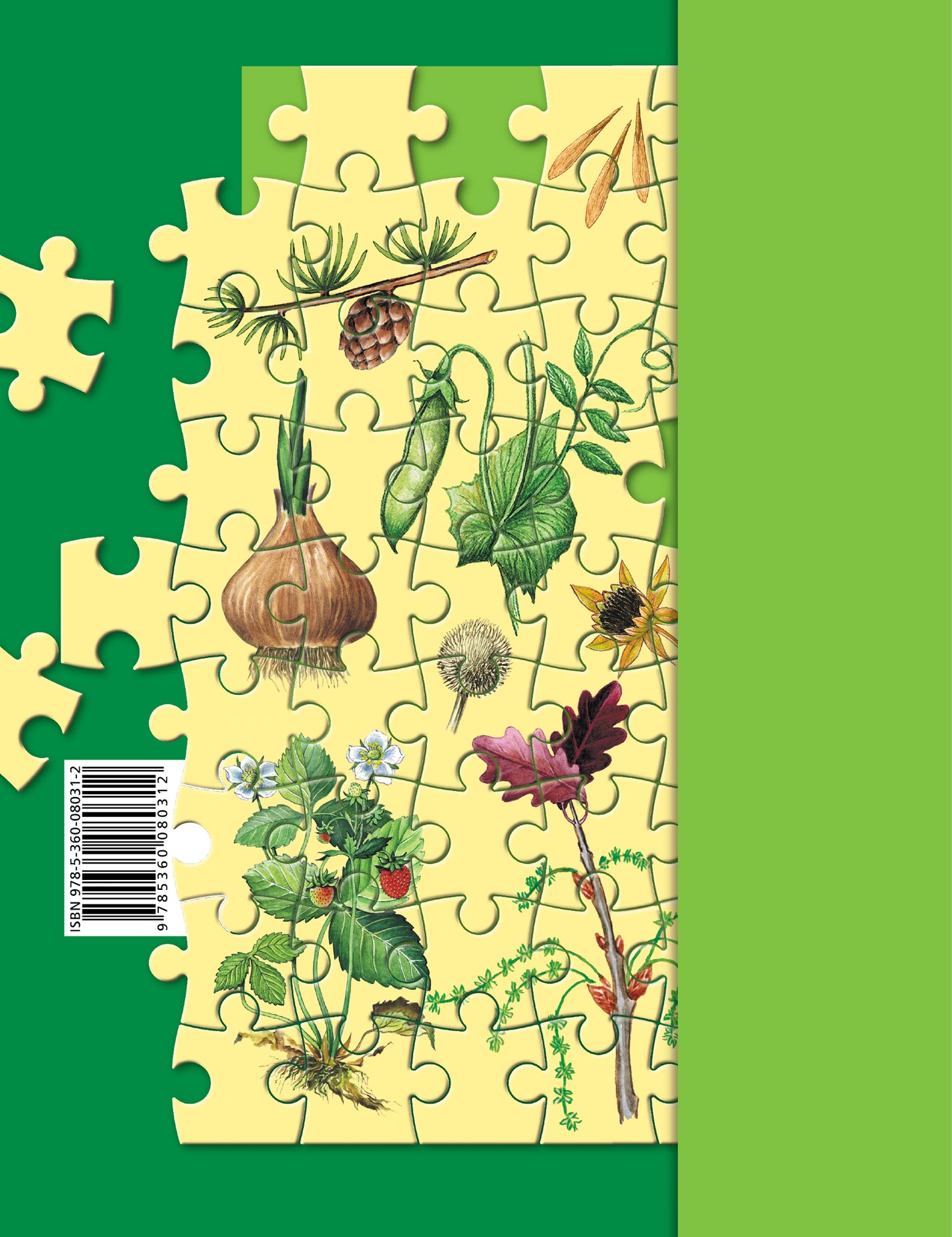 Биология. 6 класс. Рабочая тетрадь №1.