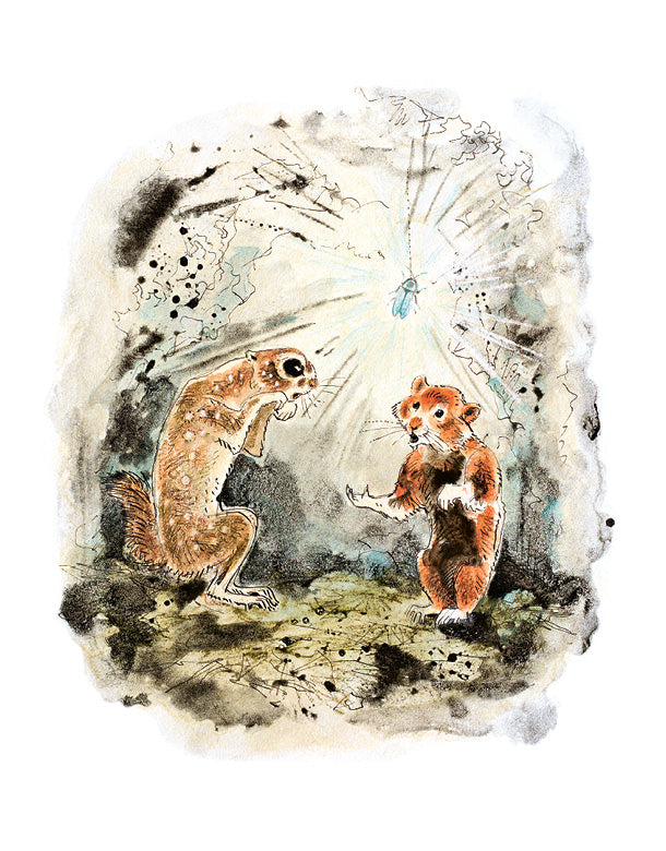 Приключения Хомы