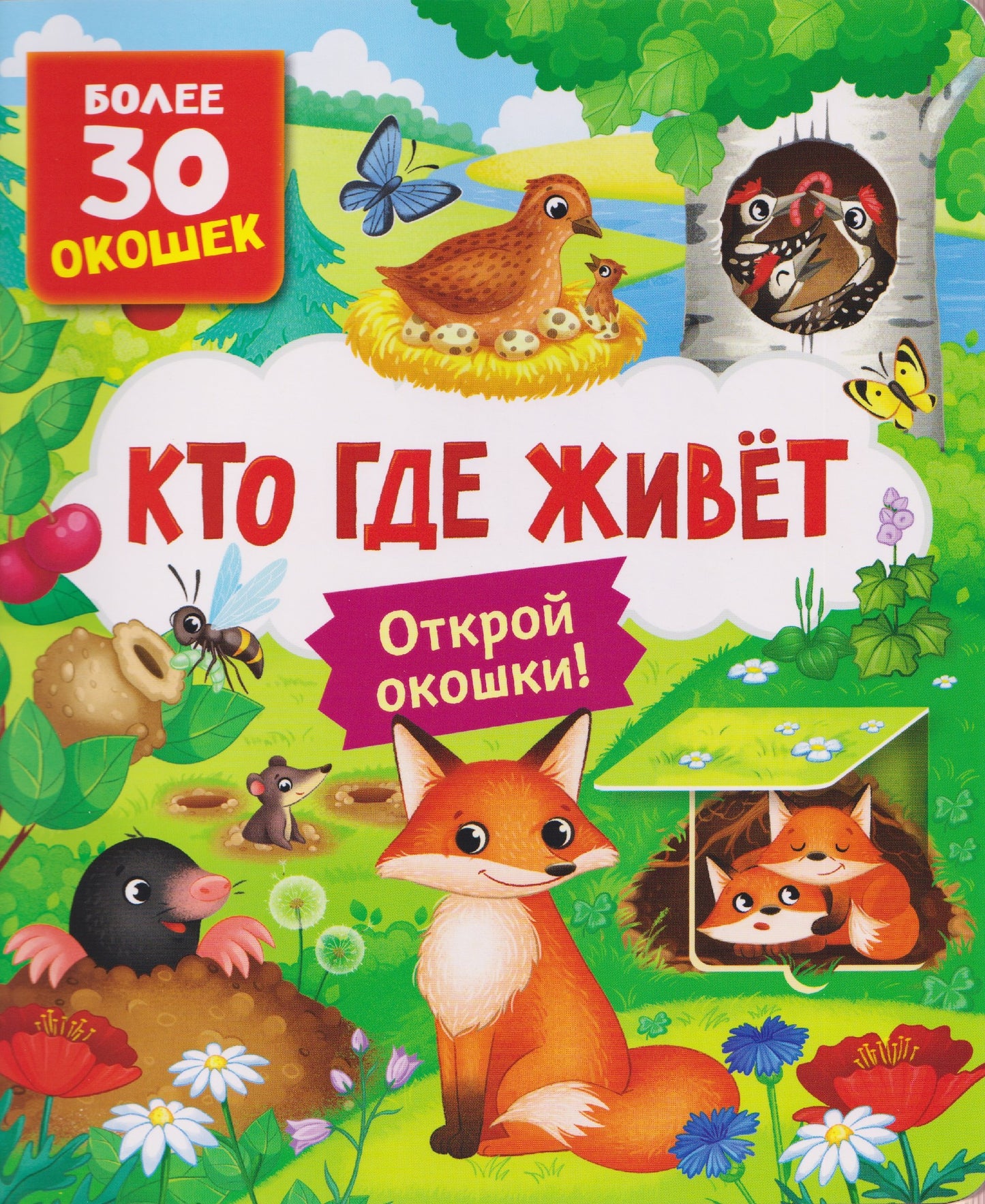 Книги с окошками. Кто где живет