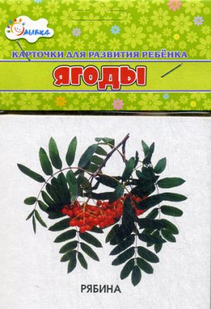 Ягоды