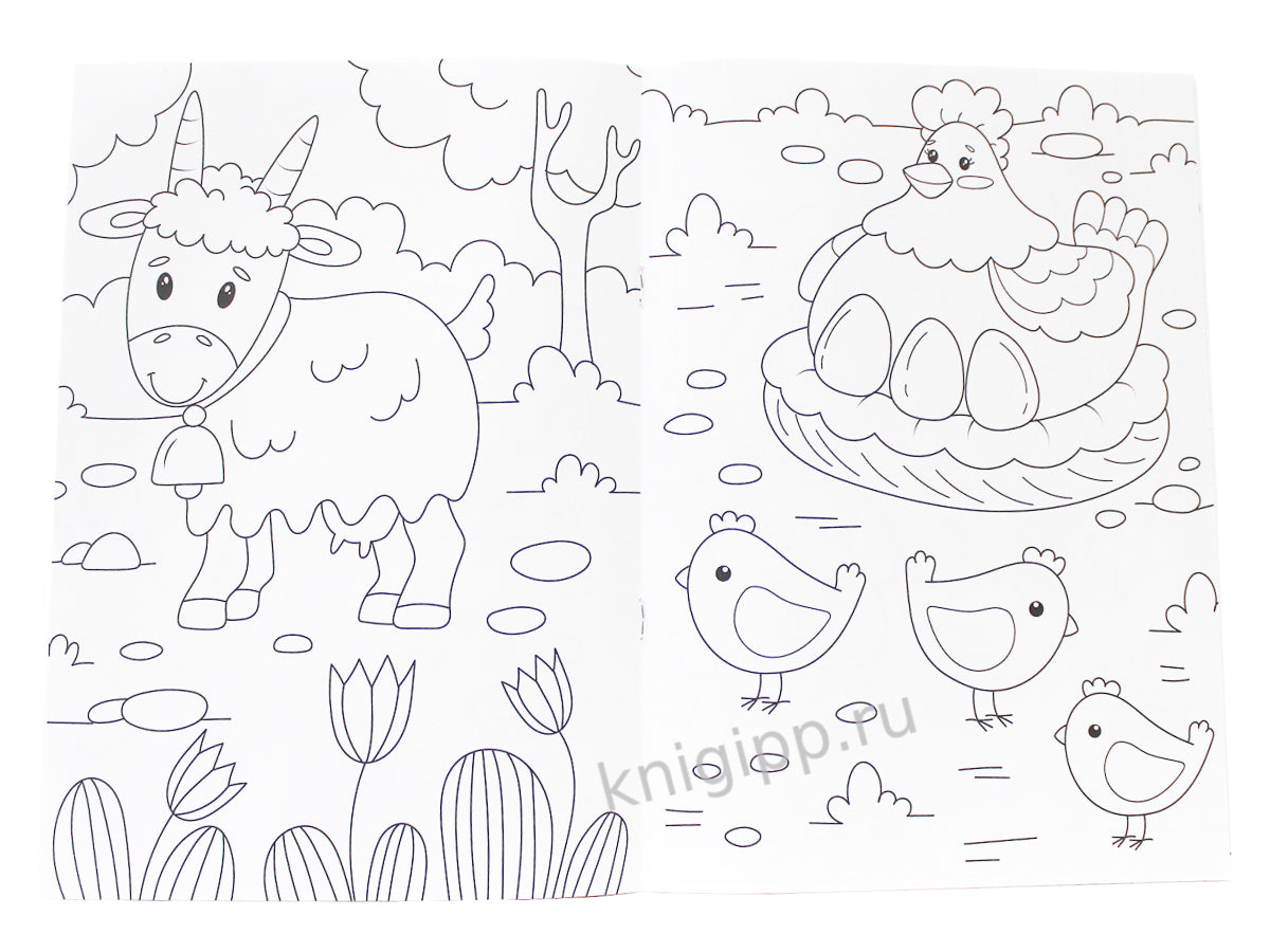 РАСКРАСКА А4 эконом. ДОМАШНИЕ ЖИВОТНЫЕ