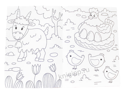 РАСКРАСКА А4 эконом. ДОМАШНИЕ ЖИВОТНЫЕ