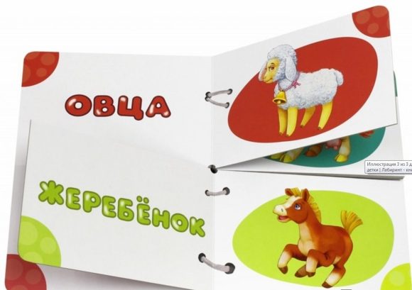 Книжка Найди половинки. Мамы и детки