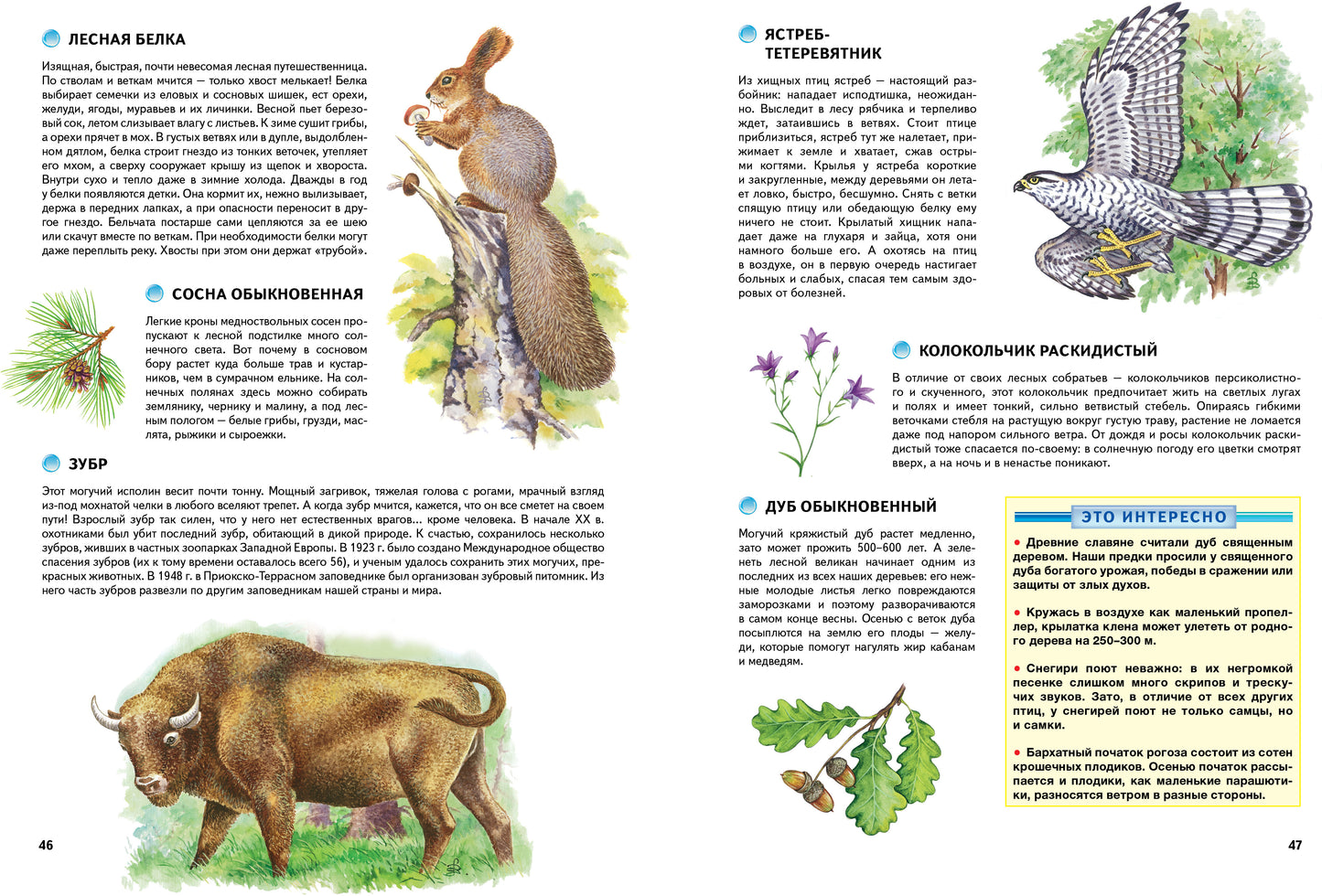 Природа России. Иллюстрированная энциклопедия