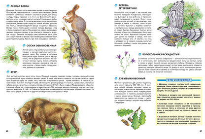 Природа России. Иллюстрированная энциклопедия