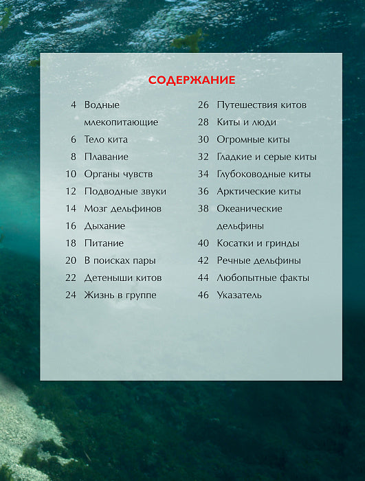 Киты и дельфины. Детская энциклопедия