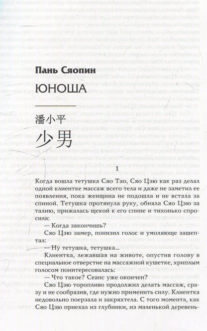 Двойной зрачок. Китайская проза ХХ - ХХI в.