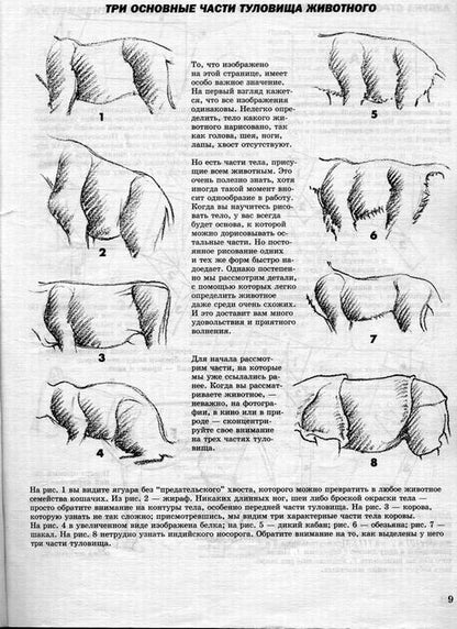 Как рисовать животных