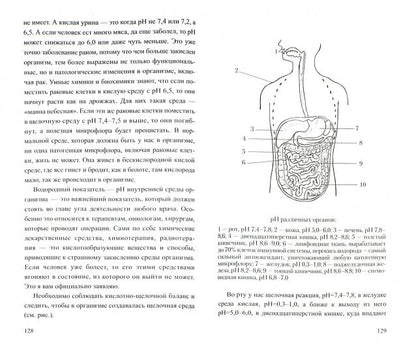 Магнитотерапия и основы электромагнитной безопасности. Мифы и реальность