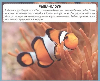 РАЗУМНЫЕ КАРТОЧКИ. ПОДВОДНЫЙ МИР