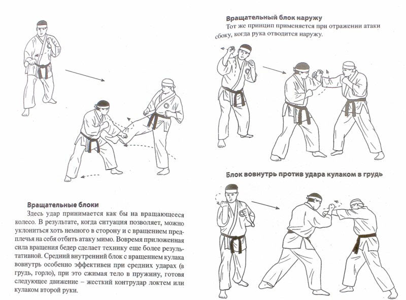 Победить одним ударом. Ват-джитсу