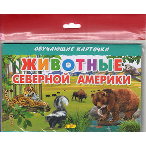 Карточки (европодвес). Животные Северной Америки ; Карточки (европодвес). Животные Северной Америки