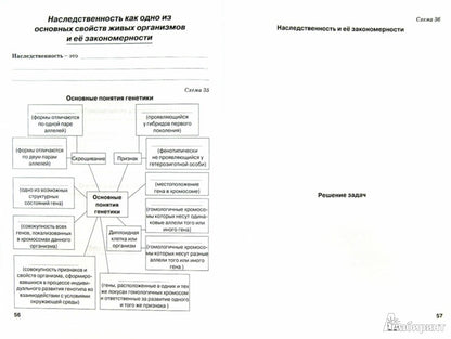 Биология 10-11кл Общая биология (Рабочая тетрадь)