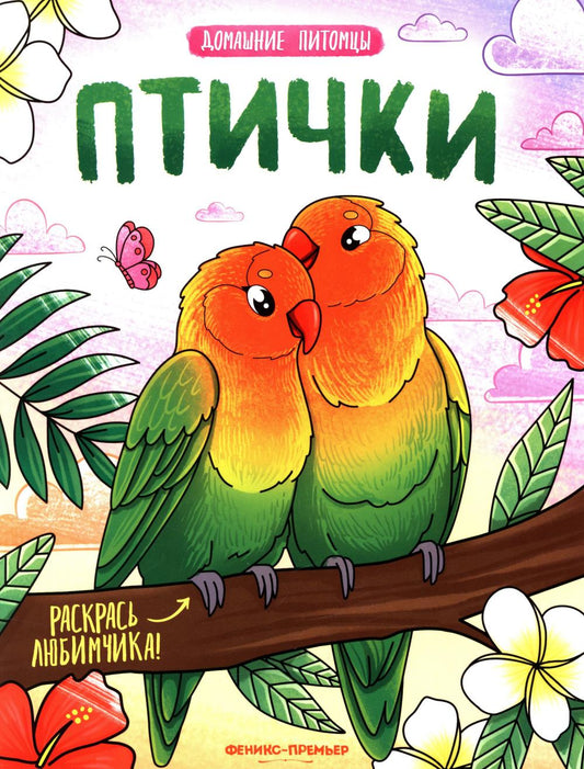 Птички: книжка-раскраска