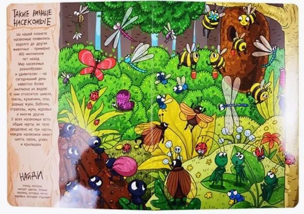книги на картоне МАКСИ 235х310 7 разворотов. В мире букашек
