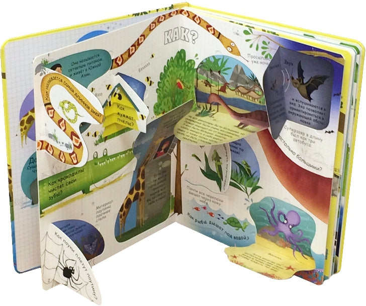 Вопросы и ответы о животных