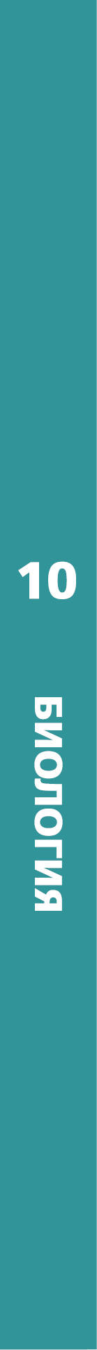 Биология. 10 класс. Базовый уровень. Учебник.