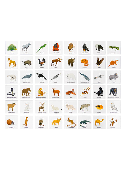 Лото "Кто где живет?" (большое)