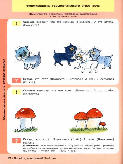 Лицей и Тесты д/детей 2-3л (Две книги в одной)