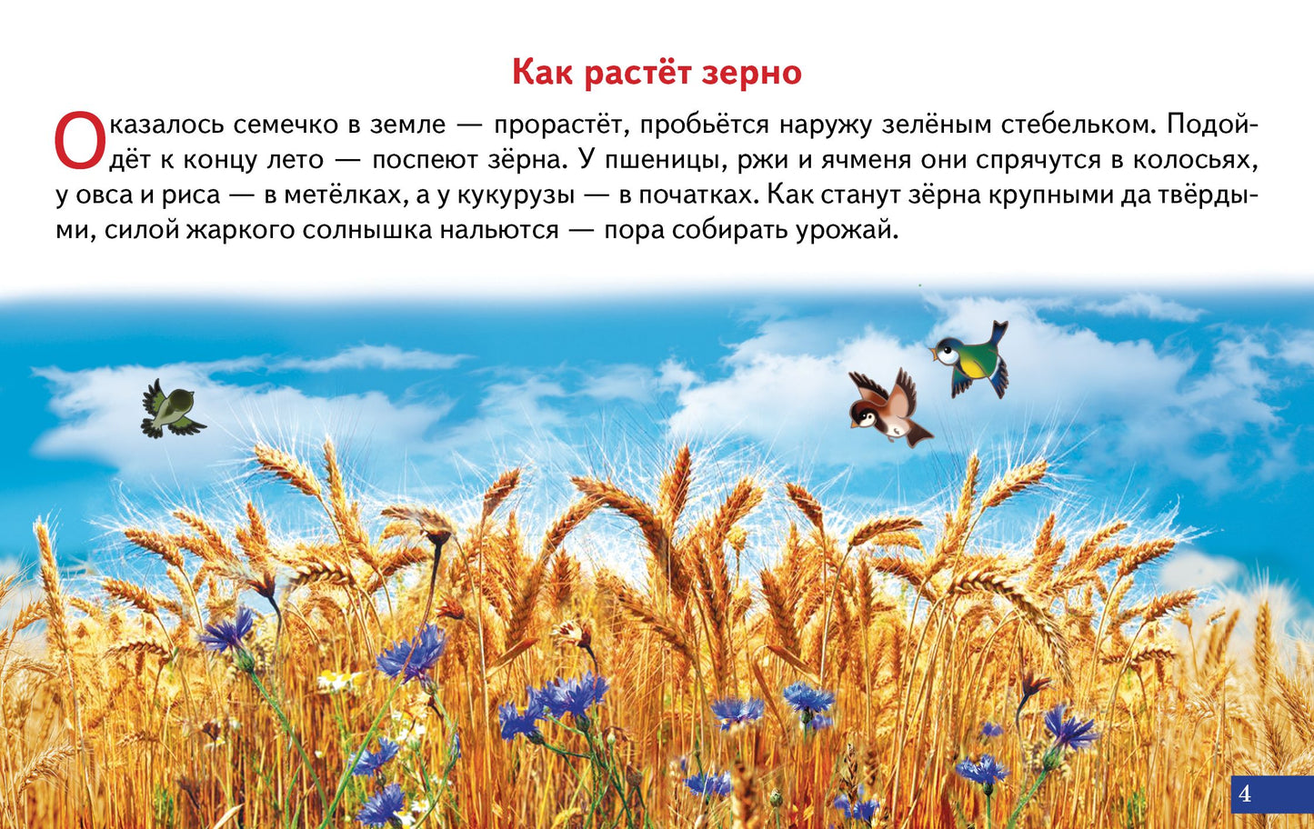 Карточки (европодвес). Как получается хлеб; Карточки (европодвес). Как получается хлеб