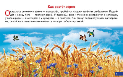 Карточки (европодвес). Как получается хлеб; Карточки (европодвес). Как получается хлеб