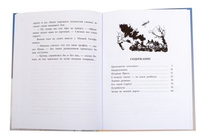 36.ДЛ.ВД.Водопьянов.Штурман Фрося (6+)