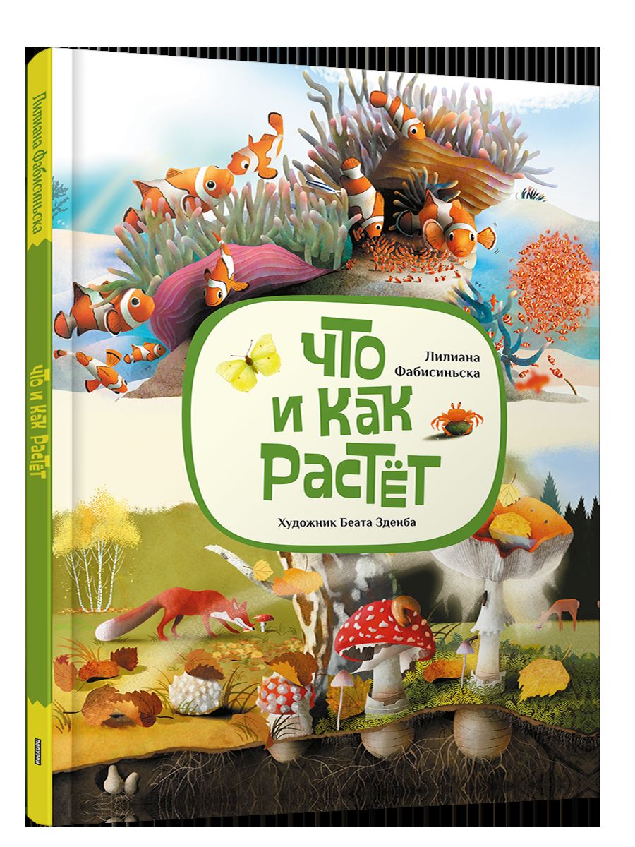 Что и как растёт