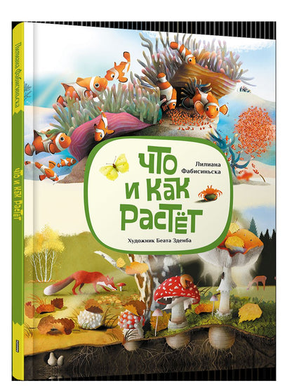 Что и как растёт