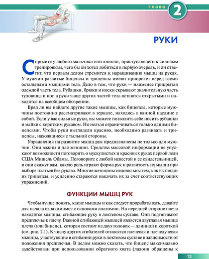 Анатомия силовых упражнений с использованием в качестве отягощения собственного веса