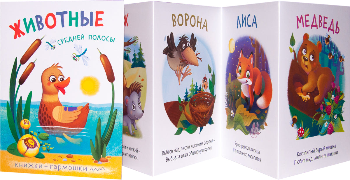 Книжки-гармошки. Животные средней полосы