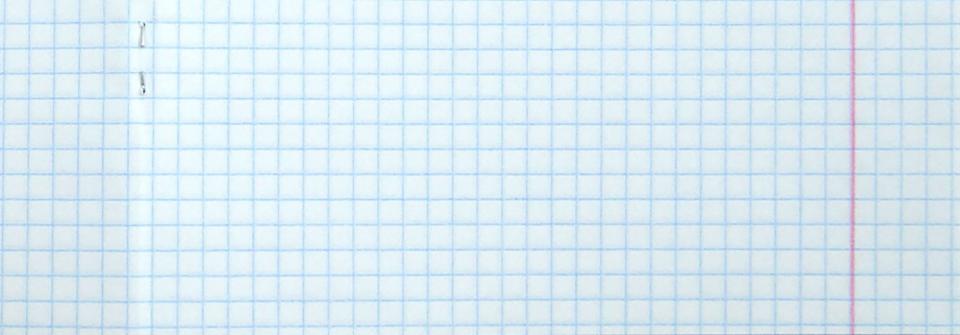 Тетрадь 48л,клетка,Прикольный Енот,5вид,48Т5В1