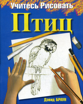 Учитесь рисовать птиц