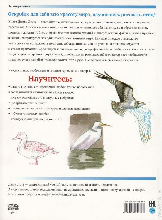 Как рисовать птиц