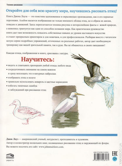 Как рисовать птиц