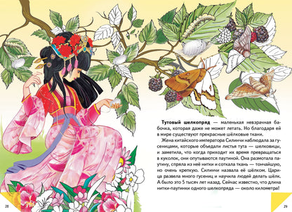 Самые красивые бабочки ; Самые красивые бабочки