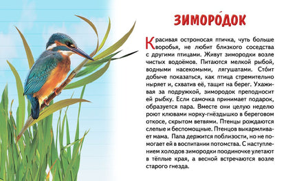 Карточки (европодвес). Перелетные птицы России; Карточки (европодвес). Перелетные птицы России