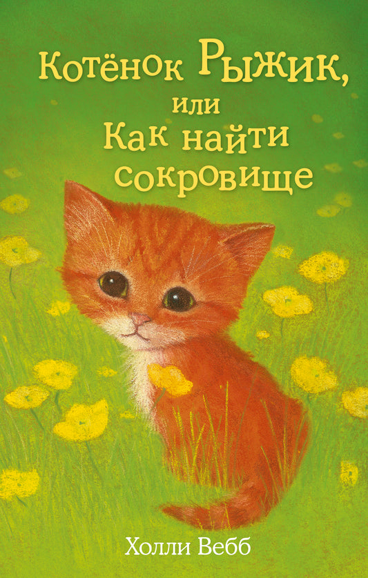 Котенок Рыжик, или Как найти сокровище (выпуск 13)