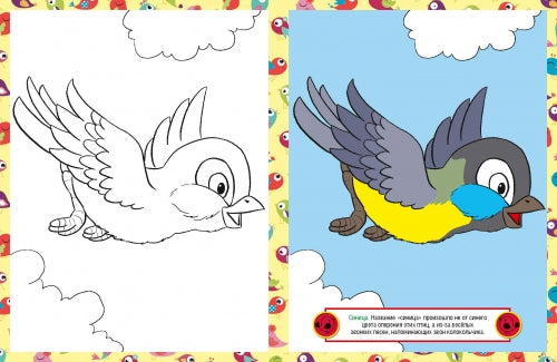 Птицы. Детская раскраска
