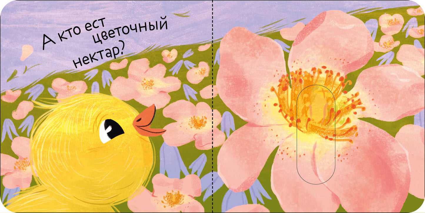 Вжух! Кто что ест?