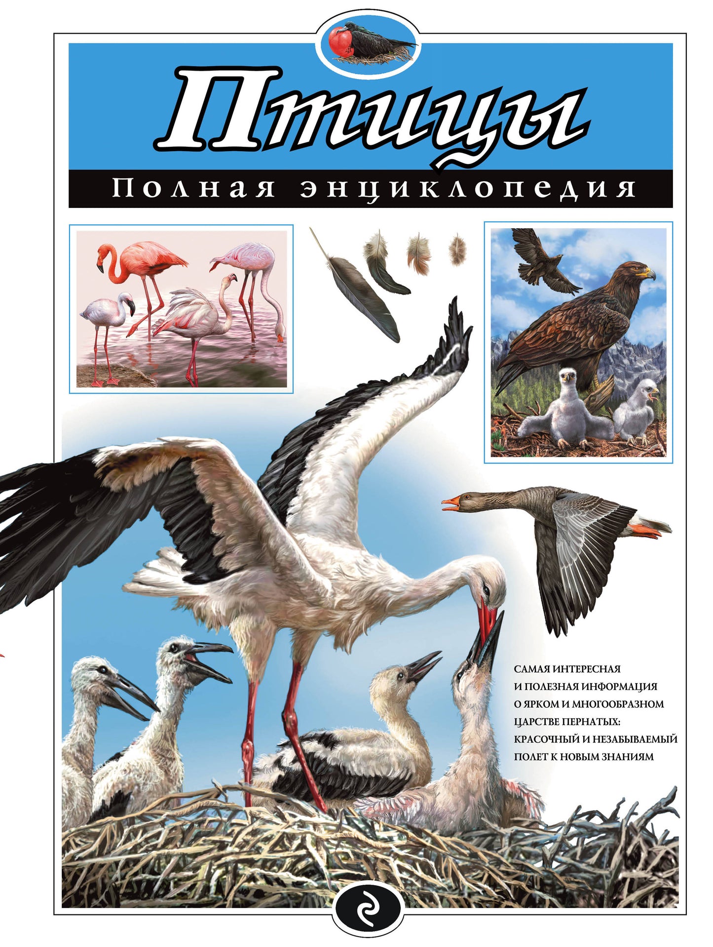 Птицы. Полная энциклопедия