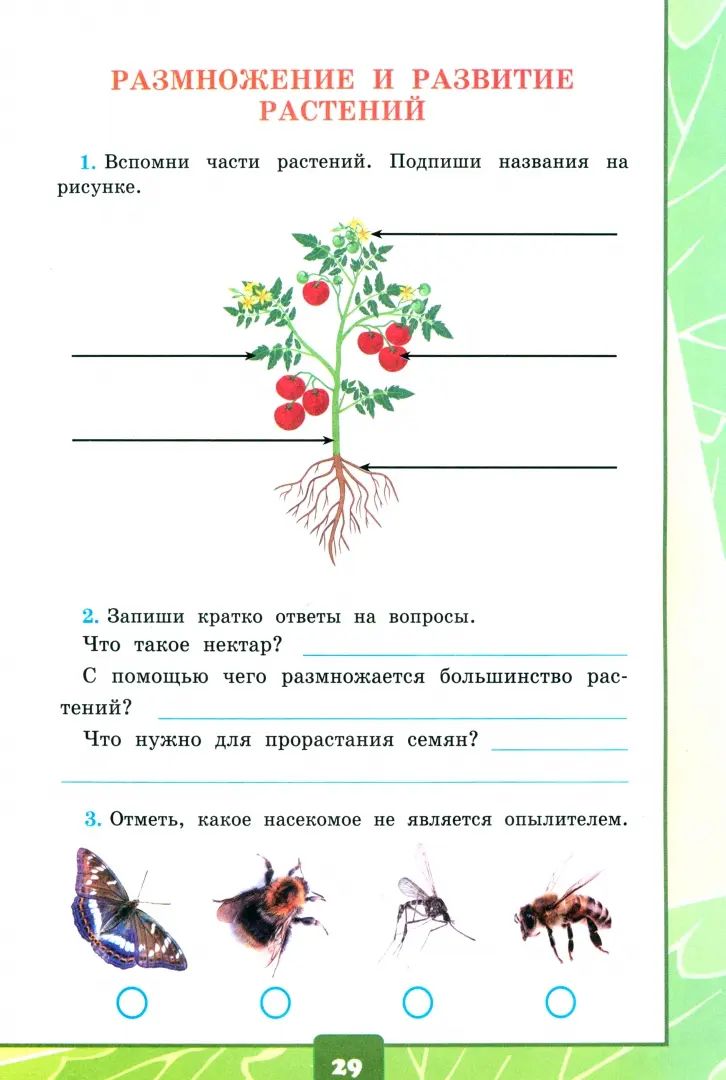 УМКн. ОКР. МИР. ТЕТРАДЬ ДЛЯ ПРАКТ. РАБ. С ДНЕВН. НАБЛ. 3 КЛАСС. ПЛЕШАКОВ. № 1 ФГОС НОВЫЙ (к новому учебнику)