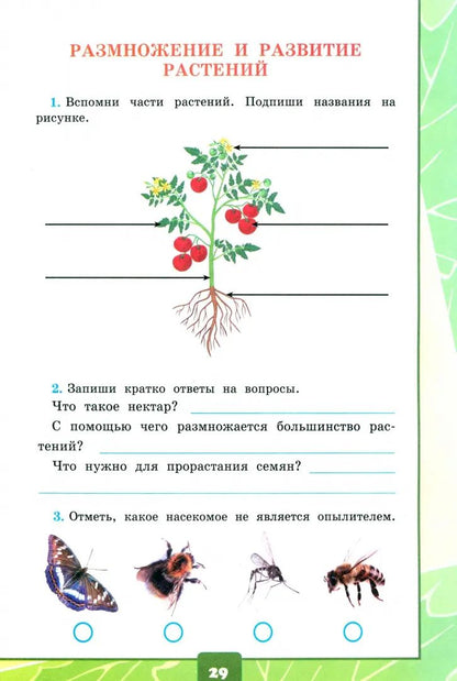 УМКн. ОКР. МИР. ТЕТРАДЬ ДЛЯ ПРАКТ. РАБ. С ДНЕВН. НАБЛ. 3 КЛАСС. ПЛЕШАКОВ. № 1 ФГОС НОВЫЙ (к новому учебнику)