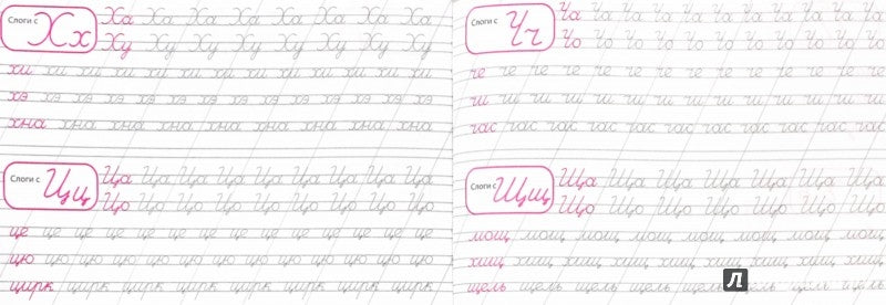 КАЛЛИГРАФИЧЕСКАЯ ПРОПИСЬ А5. альбомная. ПИШЕМ СЛОГИ