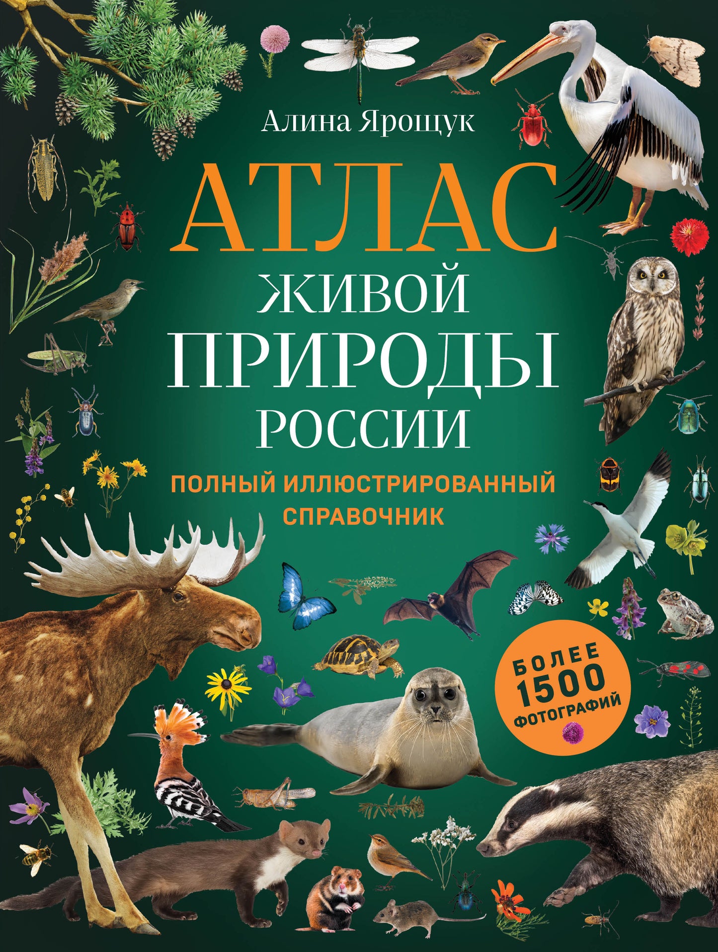 Atlas est devant la Russie. Полный иллюстрированный справочник