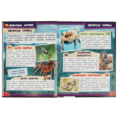 Животные Африки. 100 фактов. И. Я. Павлинов. Энциклопедия с развивающими заданиями. Умка в кор.22шт