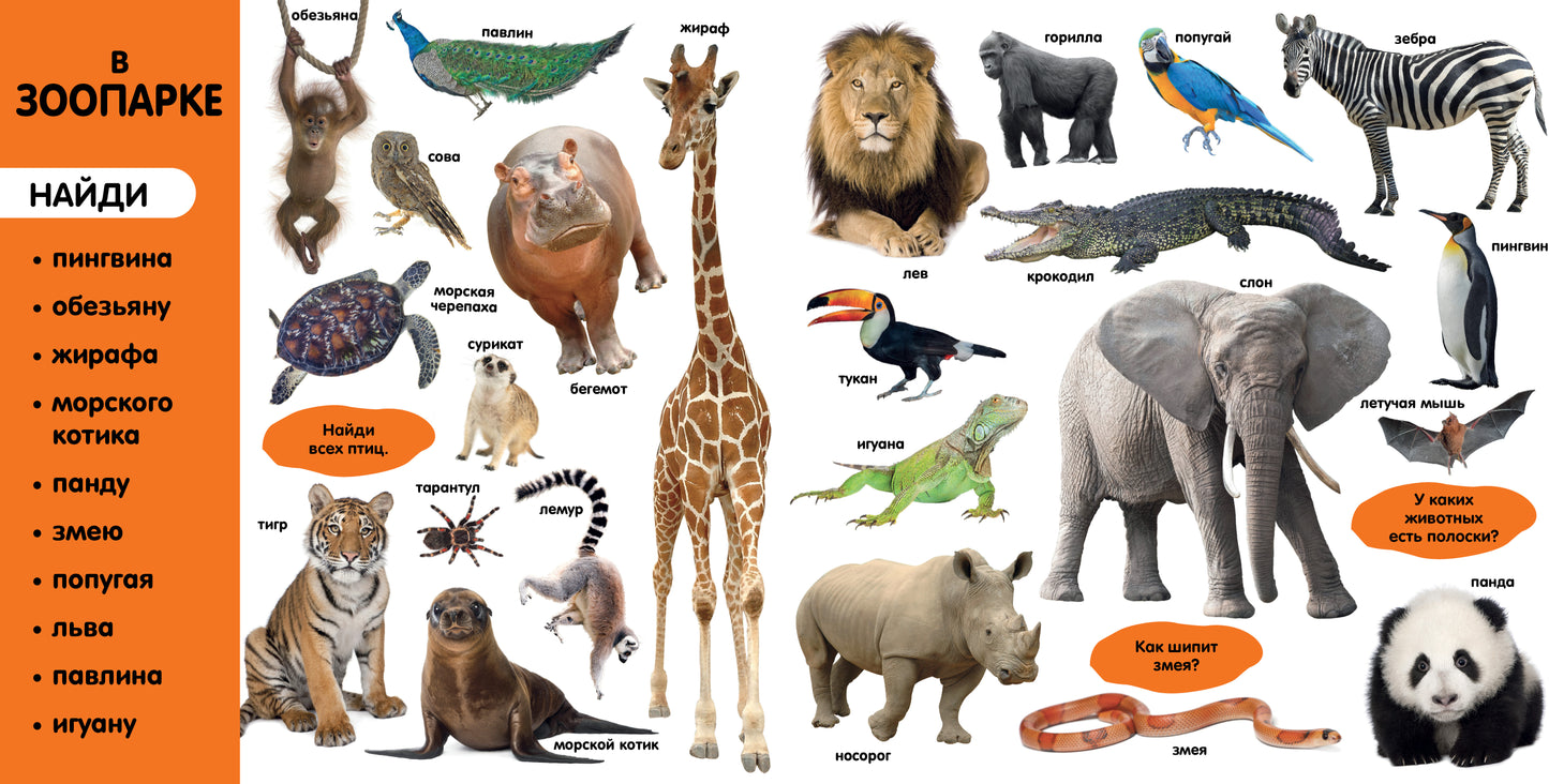 Первые знания. Фотокниги. Фотокнига Первые слова 1503