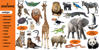 Первые знания. Фотокниги. Фотокнига Первые слова 1503