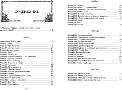 Чёрный Красавчик