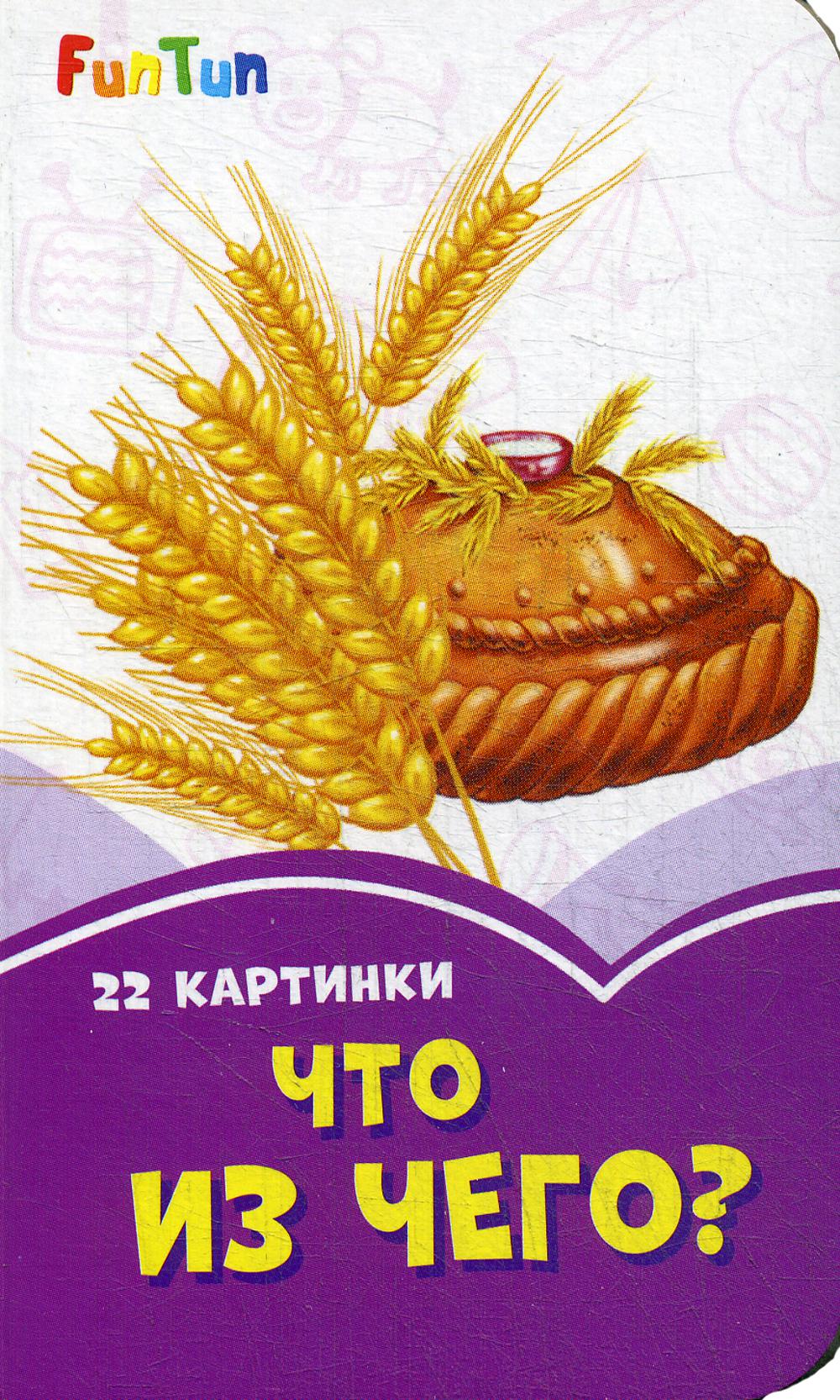 Сиреневые книжки (F) - Что из чего?