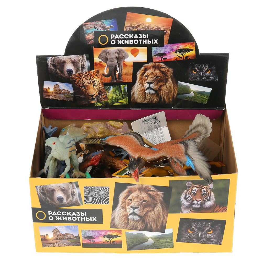 Jeu en plastique Jeu de dinosaures 15 vidéos à l'écran (russ. à partir de) jusqu'à 15 pouces par cor.12 pouces